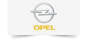 Allesma Fuar Çalışmaları